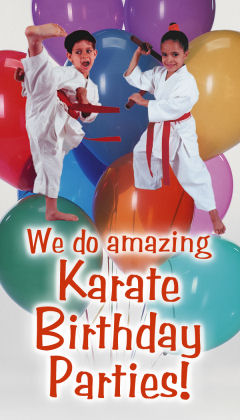 Karate Birthday Party Tampa
